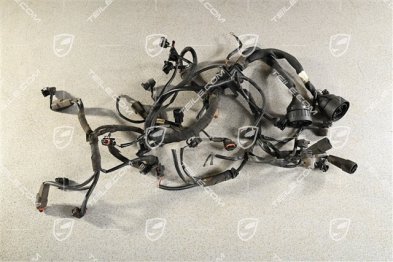 Wiring harness (cut plug)