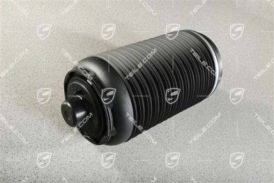 Luftfeder, hinterachse, PASM, L