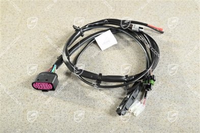 Wiring harness with microswitch, coupé