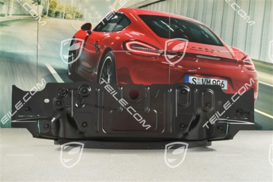 Rear body section / wall / luggage compartment rear