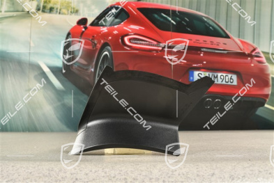 Rear light cover, outer, R