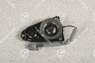 Loudspeaker High Pitch Range, Rear Door