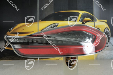Rear light, darkened, R