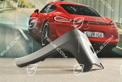 GT3RS lining, lateral, R