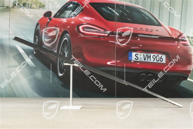 Zierleiste, außen, Targa/Cabrio, L