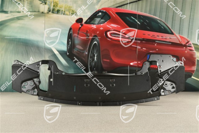 Aerokit Rear spoiler carrier