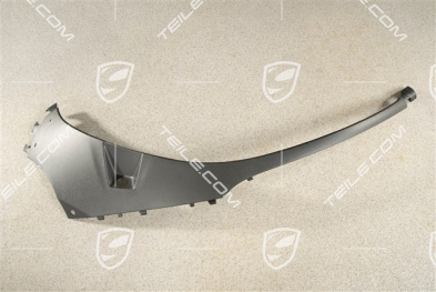 Headlight trim, R
