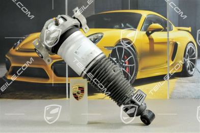 Federbein komplett, S V8 4.8L 280KW / GTS, R Federbein komplett, S V8 4.8L 280KW / GTS, R