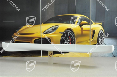 GT3 / Aero Kit Schwellerblende, Modell 2000, R
