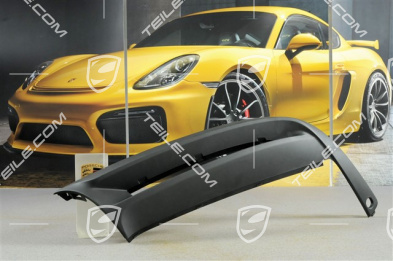 Lining rear, lower, without PDC, R