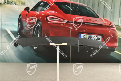 Front bumper disc / trim, Satin black, upper, R