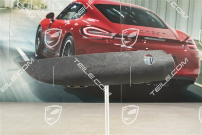 Front bumper lower trim, Satin black, R