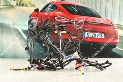 Wiring harness front bumper, Extended and crash-active pedestrian protection