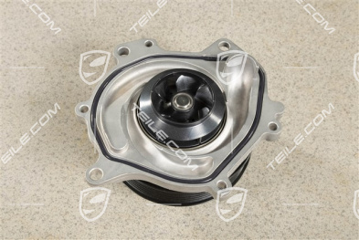 Water pump, complete with pulley