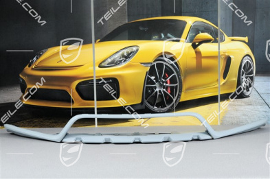 Spoiler front, GTS