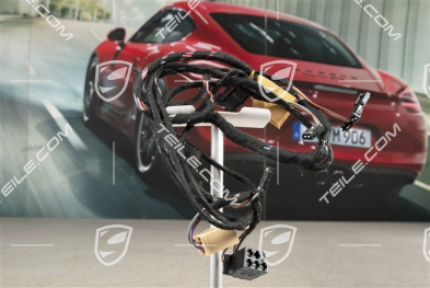 Wiring harness, rear door, L=R