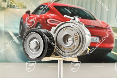 3,0 V6 Hybrid, Riemenspanner / Riemenspanndämpfer