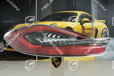 Rear light, darkened, L