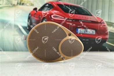 Coupe / Targa, Loudspeaker, Savanna, rear, R