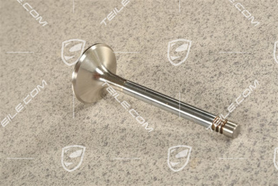 Exhaust valve