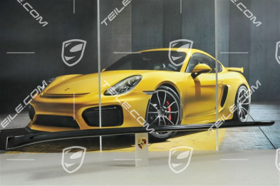 Schwellerblende, C4/C4S/GT3/911R, lackiert, R