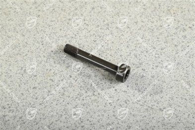 Slotted cheese-head screw Slotted cheese-head screw