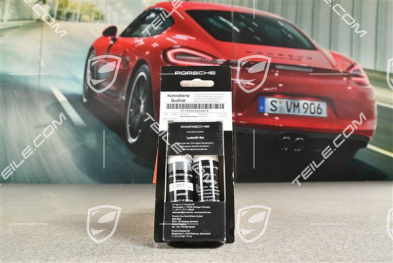 Paint touch-up applicator (Primer, base coat, Clear lacquer) Arctic Grey