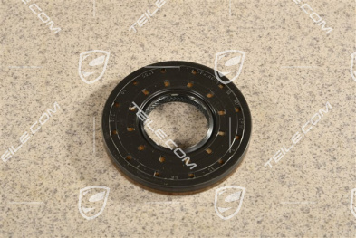 Sealing ring / oil seal