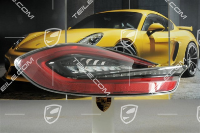 Rear light, darkened, L