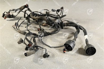 Wiring harness (cut plug)
