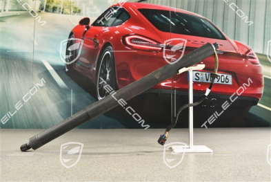 Damper cylinder Trunk / boot lid / automatic closing option / Powerlift