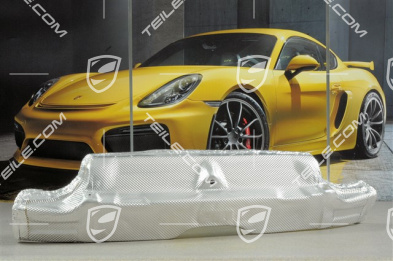 Heat shield, centre Heat shield, centre