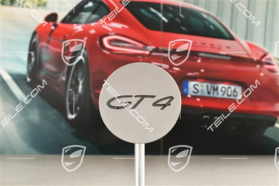 Hub cap, GT4, platinum satin matt