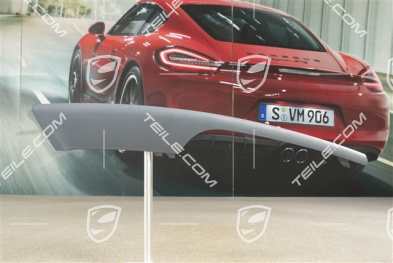 Front bumper disc / trim, lacquered, upper, R