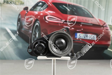 Loudspeaker High Pitch Range, Rear Door