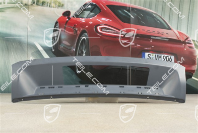 Cover, rear bumper, lower,