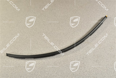 Windshield gasket, L