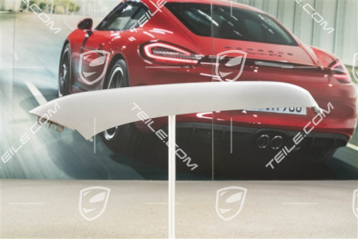 4 / 4S Facelift, Disc / cover upper for front bumper retaining frame, Titanium metallic, R