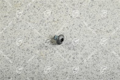 Lens head screw / oval head screw M6 x 8 Lens head screw / oval head screw M6 x 8