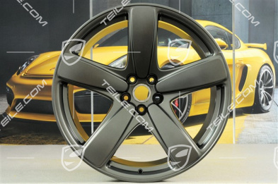 21" Felga "Sport Classic", 10J x 21 ET19, platinum satynowy półmat