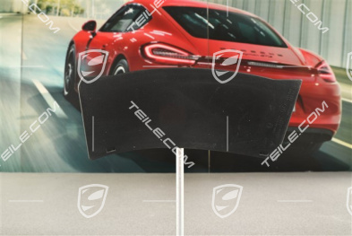 Rear light cover, outer, R