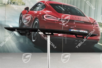 Disc / cover lower, trim for front bumper retaining frame, Black, L
